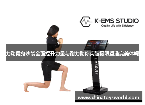 力动健身沙袋全面提升力量与耐力助你突破极限塑造完美体魄
