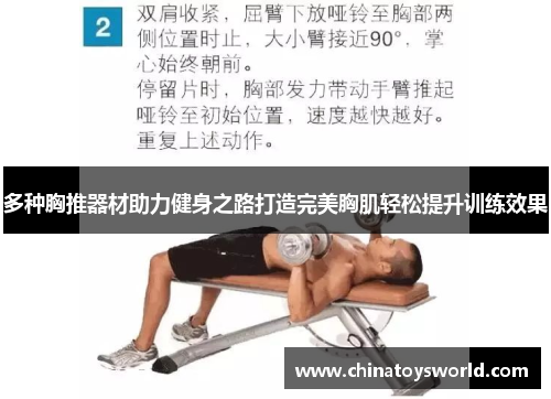 多种胸推器材助力健身之路打造完美胸肌轻松提升训练效果