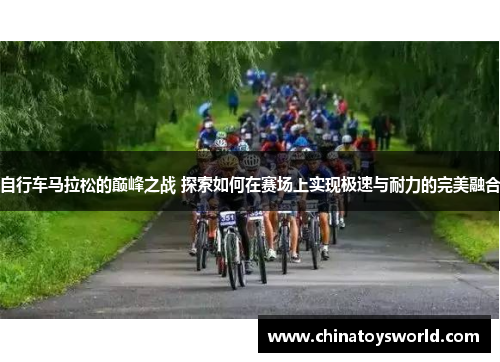 自行车马拉松的巅峰之战 探索如何在赛场上实现极速与耐力的完美融合