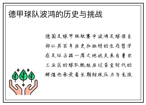 德甲球队波鸿的历史与挑战
