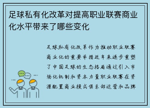 足球私有化改革对提高职业联赛商业化水平带来了哪些变化
